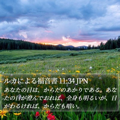 ルカによる福音書 11:34 JPN Bible Verse Image