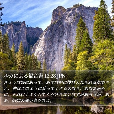ルカによる福音書 12:28 JPN Bible Verse Image