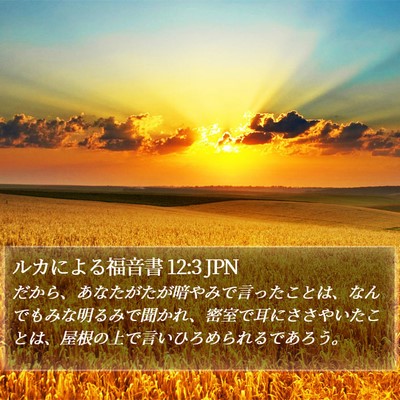 ルカによる福音書 12:3 JPN Bible Verse Image