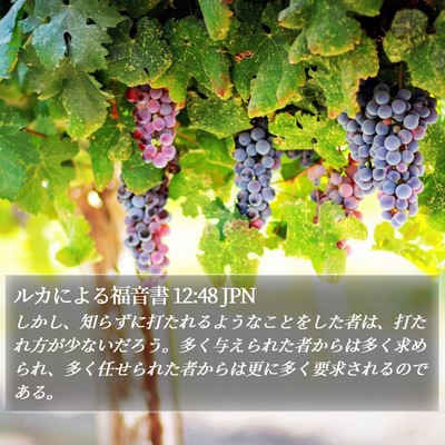 ルカによる福音書 12:48 JPN Bible Verse Image