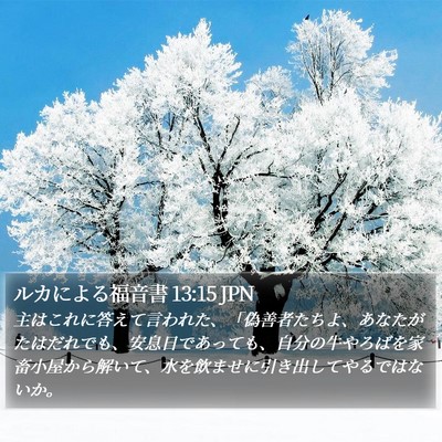 ルカによる福音書 13:15 JPN Bible Verse Image