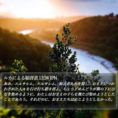 ルカによる福音書 13:34 JPN Bible Verse Image