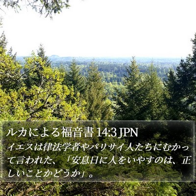 ルカによる福音書 14:3 JPN Bible Verse Image