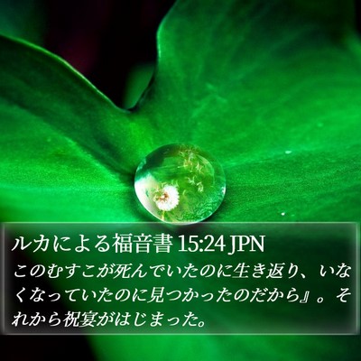 ルカによる福音書 15:24 JPN Bible Verse Image