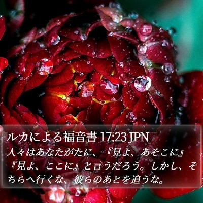 ルカによる福音書 17:23 JPN Bible Verse Image