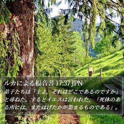ルカによる福音書 17:37 JPN Bible Verse Image