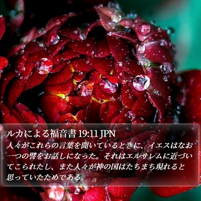 ルカによる福音書 19:11 JPN Bible Verse Image