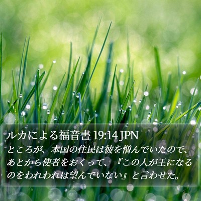 ルカによる福音書 19:14 JPN Bible Verse Image