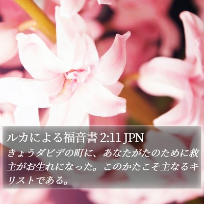 ルカによる福音書 2:11 JPN Bible Verse Image
