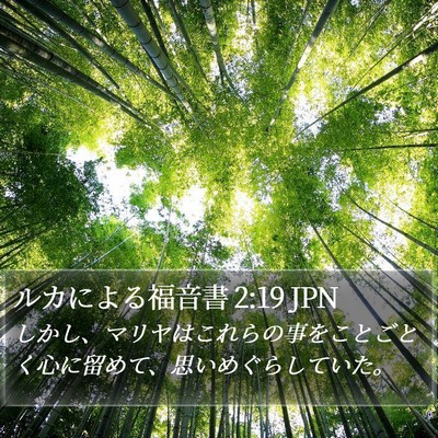 ルカによる福音書 2:19 JPN Bible Verse Image