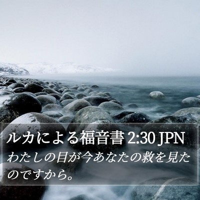ルカによる福音書 2:30 JPN Bible Verse Image