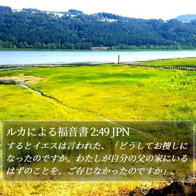 ルカによる福音書 2:49 JPN Bible Verse Image