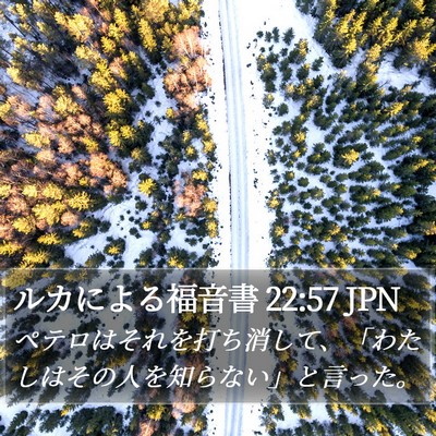 ルカによる福音書 22:57 JPN Bible Verse Image