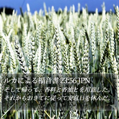 ルカによる福音書 23:56 JPN Bible Verse Image