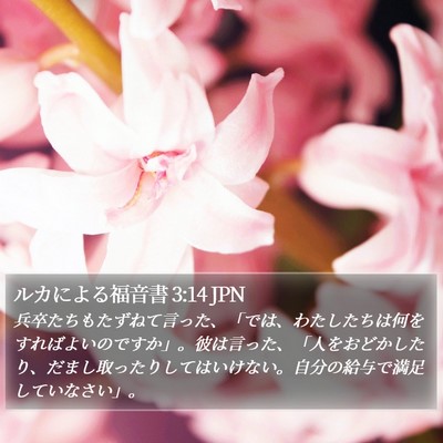 ルカによる福音書 3:14 JPN Bible Verse Image