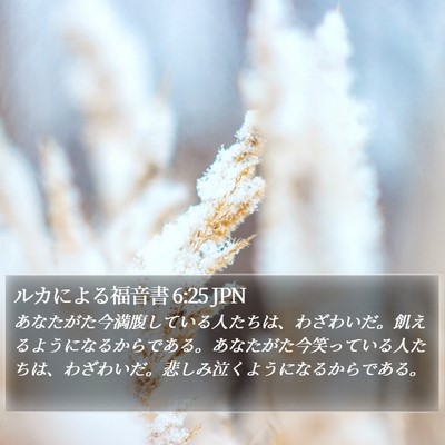 ルカによる福音書 6:25 JPN Bible Verse Image