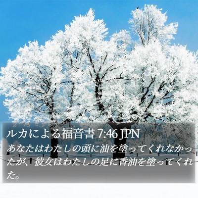 ルカによる福音書 7:46 JPN Bible Verse Image