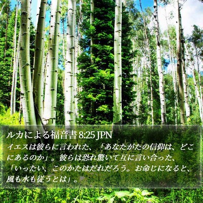 ルカによる福音書 8:25 JPN Bible Verse Image