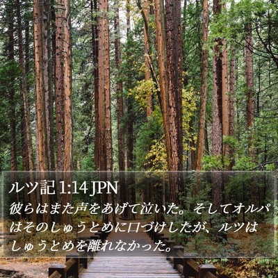 ルツ記 1:14 JPN Bible Verse Image