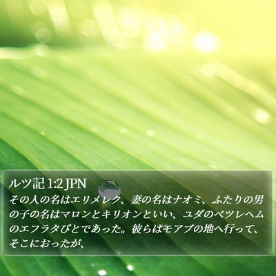 ルツ記 1:2 JPN Bible Verse Image