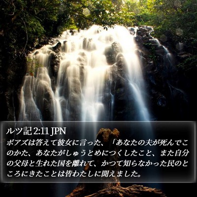 ルツ記 2:11 JPN Bible Verse Image