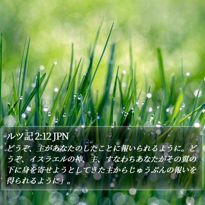 ルツ記 2:12 JPN Bible Verse Image