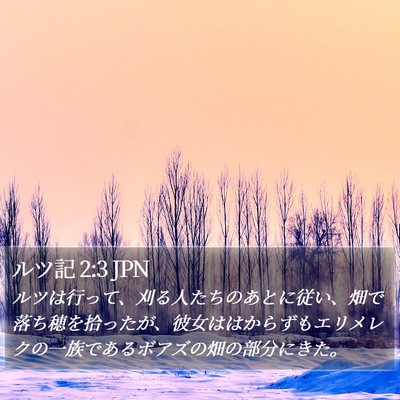 ルツ記 2:3 JPN Bible Verse Image
