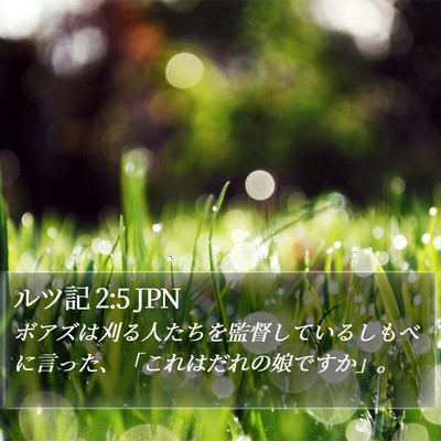 ルツ記 2:5 JPN Bible Verse Image