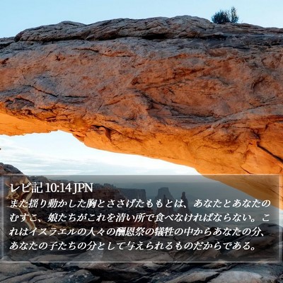 レビ記 10:14 JPN Bible Verse Image
