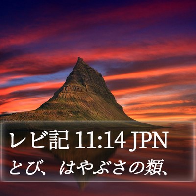 レビ記 11:14 JPN Bible Verse Image