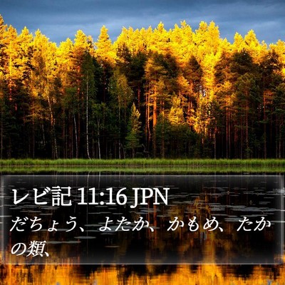 レビ記 11:16 JPN Bible Verse Image