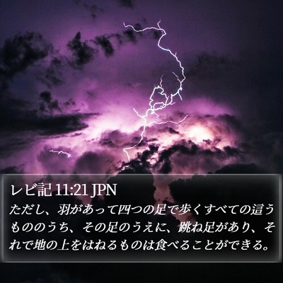 レビ記 11:21 JPN Bible Verse Image