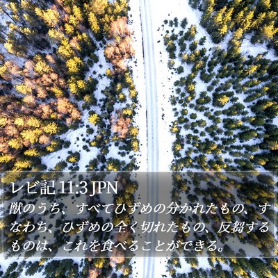 レビ記 11:3 JPN Bible Verse Image