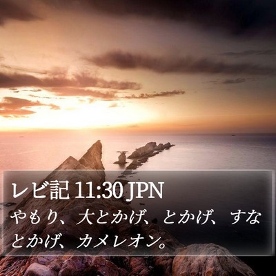 レビ記 11:30 JPN Bible Verse Image