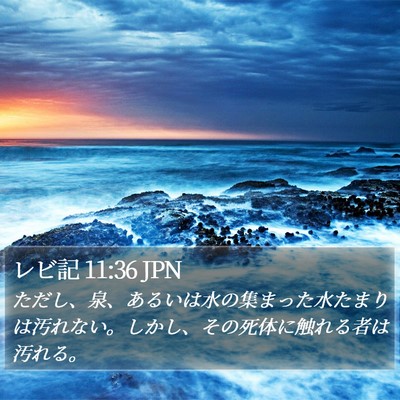 レビ記 11:36 JPN Bible Verse Image