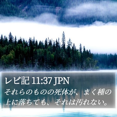 レビ記 11:37 JPN Bible Verse Image