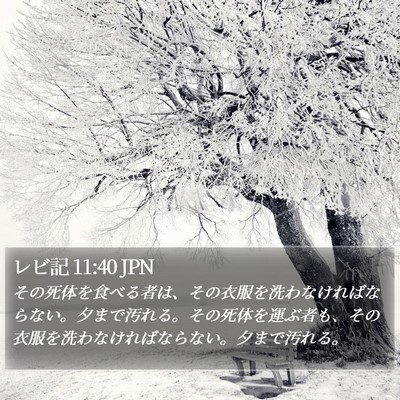 レビ記 11:40 JPN Bible Verse Image