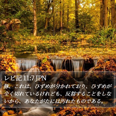 レビ記 11:7 JPN Bible Verse Image