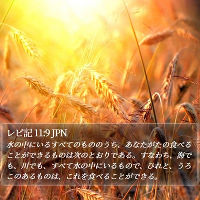 レビ記 11:9 JPN Bible Verse Image