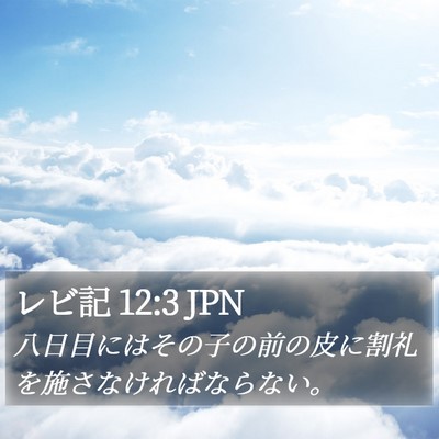 レビ記 12:3 JPN Bible Verse Image