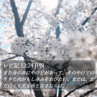 レビ記 13:24 JPN Bible Verse Image
