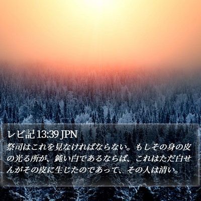 レビ記 13:39 JPN Bible Verse Image
