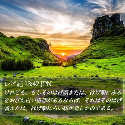 レビ記 13:42 JPN Bible Verse Image