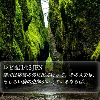 レビ記 14:3 JPN Bible Verse Image
