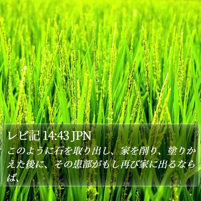 レビ記 14:43 JPN Bible Verse Image