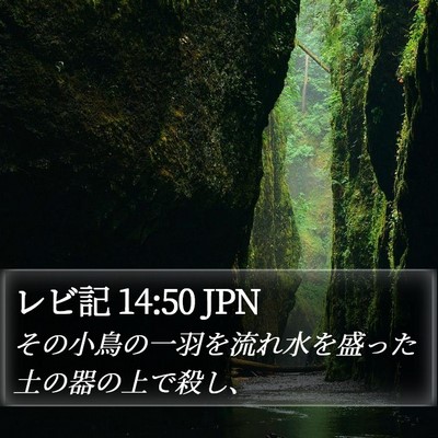 レビ記 14:50 JPN Bible Verse Image