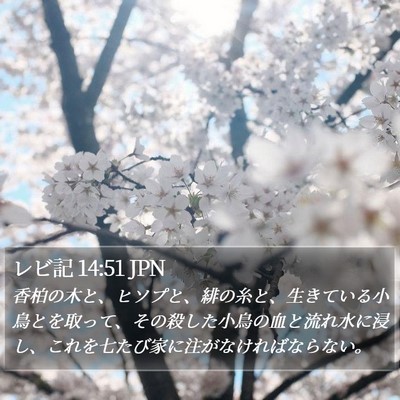 レビ記 14:51 JPN Bible Verse Image