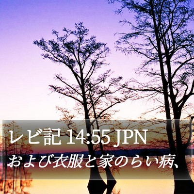レビ記 14:55 JPN Bible Verse Image