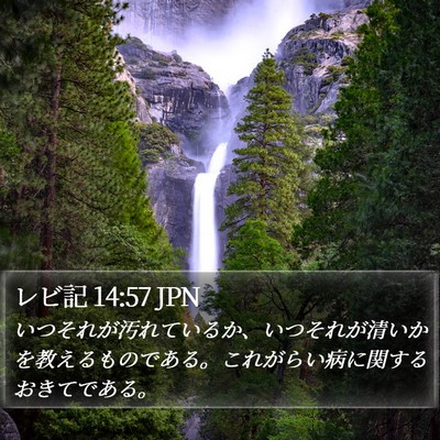 レビ記 14:57 JPN Bible Verse Image