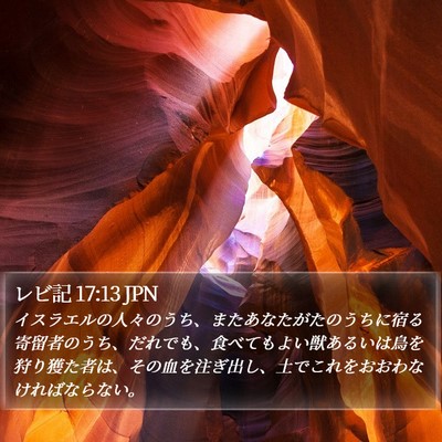 レビ記 17:13 JPN Bible Verse Image